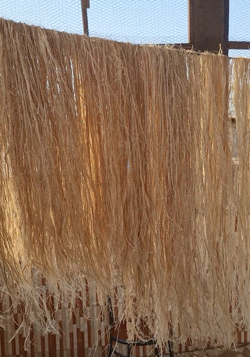 Des fibres de bananiers sont étendues pour faire des mèches à tresser végétales